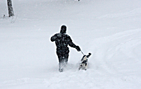Ute med hunden i snöstorm